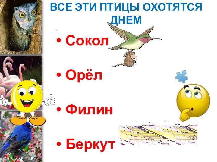 ВСЕ ЭТИ ПТИЦЫ ОХОТЯТСЯ ДНЕМ . • Сокол • Орёл • Филин • Беркут