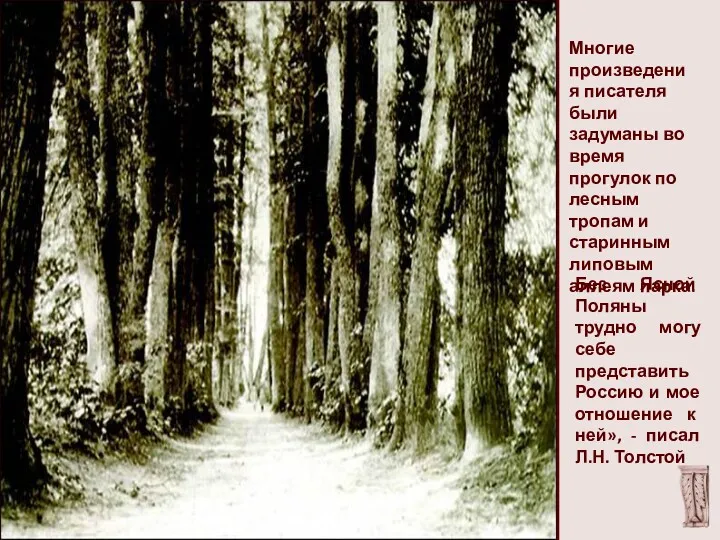 Многие произведения писателя были задуманы во время прогулок по лесным тропам и старинным