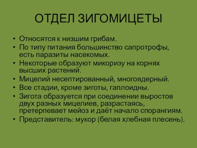 ОТДЕЛ ЗИГОМИЦЕТЫ Относятся к низшим грибам. По типу питания большинство