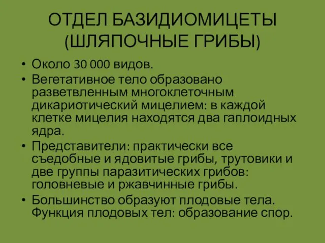 ОТДЕЛ БАЗИДИОМИЦЕТЫ (ШЛЯПОЧНЫЕ ГРИБЫ) Около 30 000 видов. Вегетативное тело