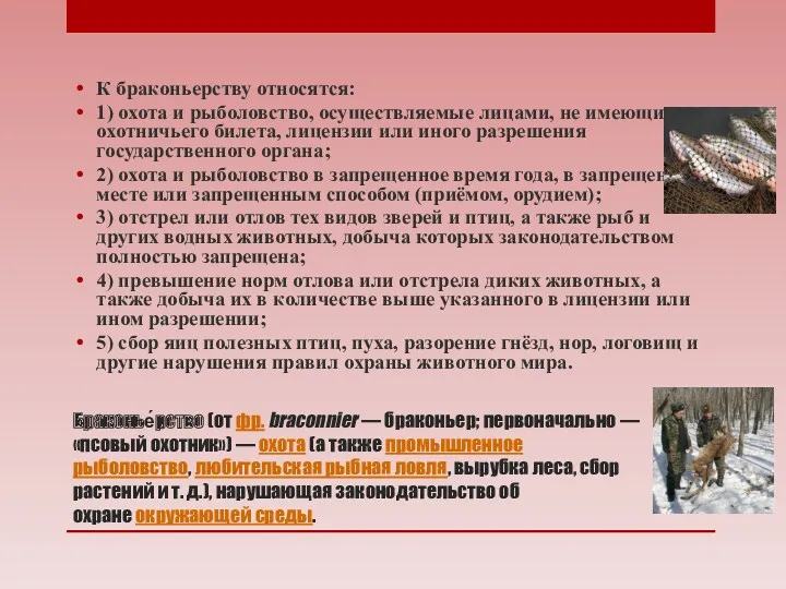 Браконье́рство (от фр. braconnier — браконьер; первоначально — «псовый охотник»)