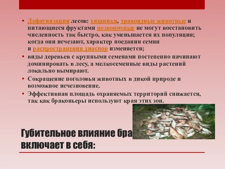 Губительное влияние браконьерства включает в себя: Дефаунизация лесов: хищники, травоядные