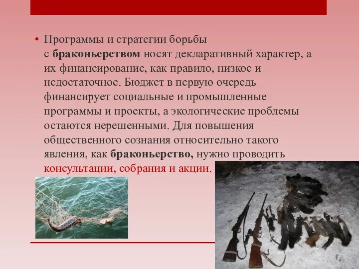 Программы и стратегии борьбы с браконьерством носят декларативный характер, а