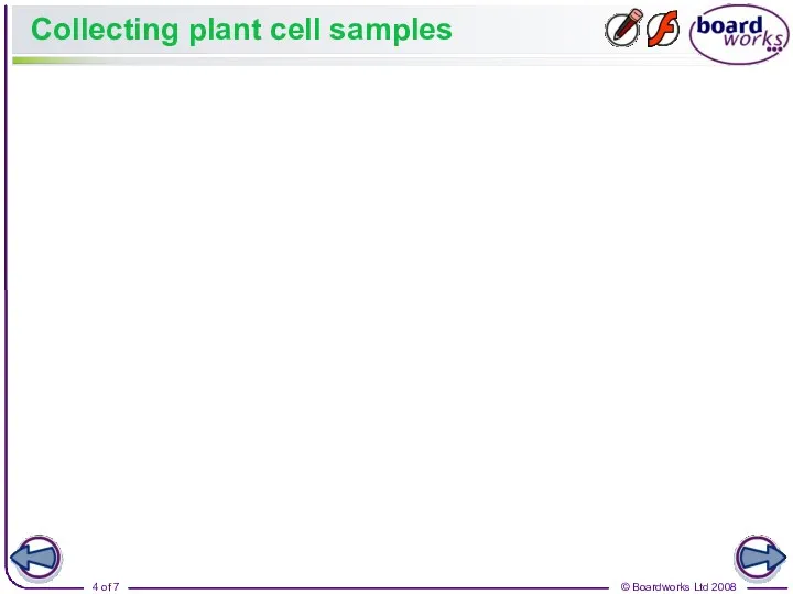 Collecting plant cell samples