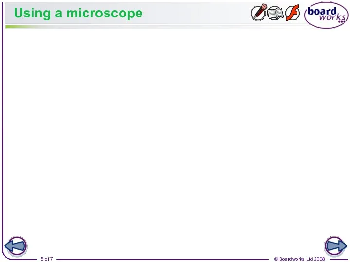 Using a microscope