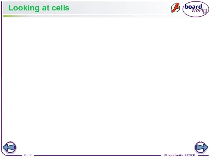 Looking at cells