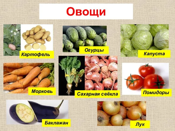 Овощи