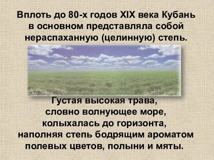 Вплоть до 80-х годов ХIХ века Кубань в основном представляла