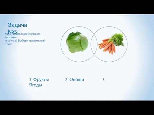 Задача №5 Как описать одним словом картинки в кругах? Выбери