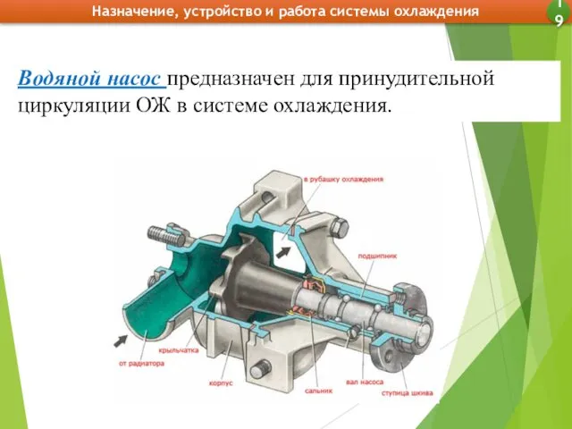 Назначение, устройство и работа системы охлаждения 19 Водяной насос предназначен