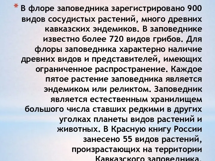 В флоре заповедника зарегистрировано 900 видов сосудистых растений, много древних