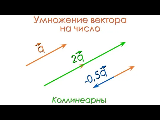 Умножение вектора на число Коллинеарны
