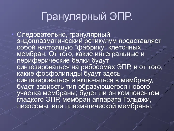 Гранулярный ЭПР. Следовательно, гранулярный эндоплазматический ретикулум представляет собой настоящую “фабрику”