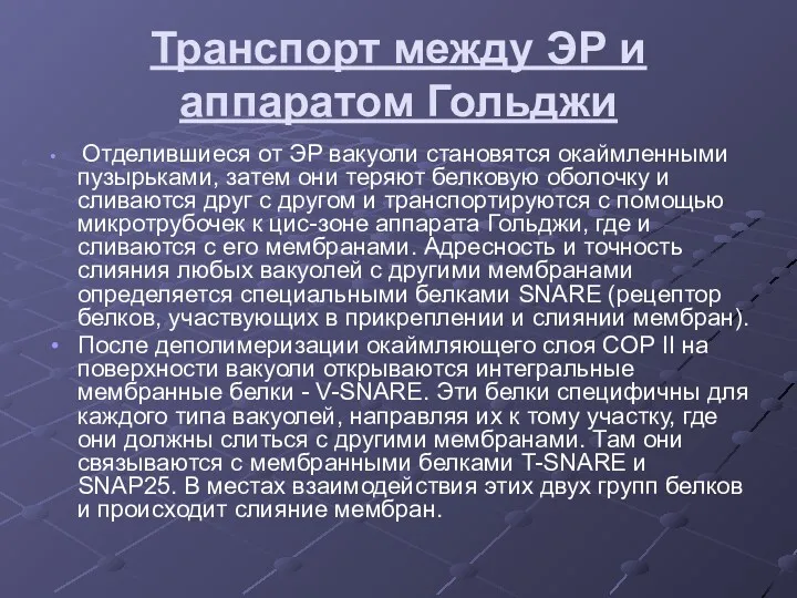 Транспорт между ЭР и аппаратом Гольджи Отделившиеся от ЭР вакуоли