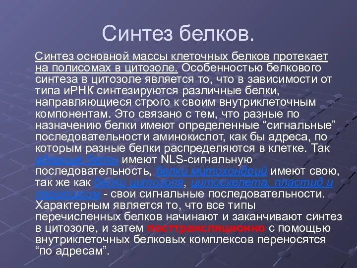 Синтез белков. Синтез основной массы клеточных белков протекает на полисомах