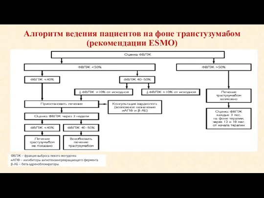 Алгоритм ведения пациентов на фоне транстузумабом (рекомендации ESMO)