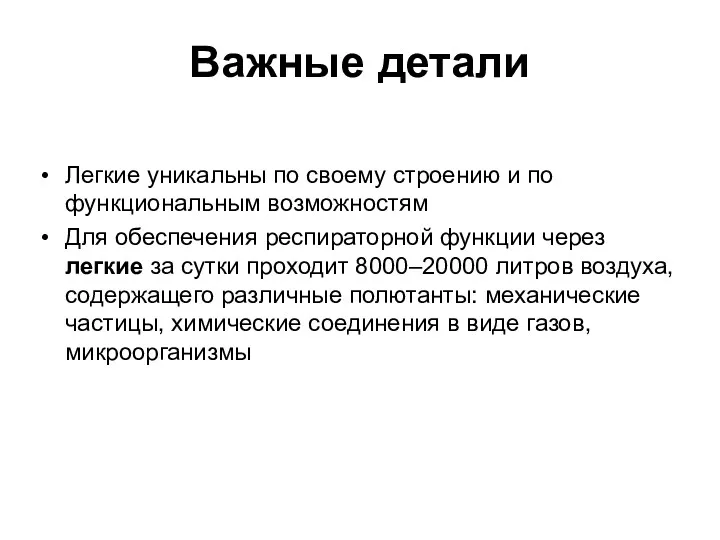 Важные детали Легкие уникальны по своему строению и по функциональным