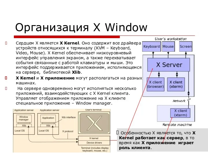 Организация X Window Сердцем X является X Kernel. Оно содержит