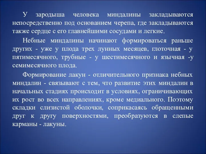 У зародыша человека миндалины закладываются непосредственно под основанием черепа, где