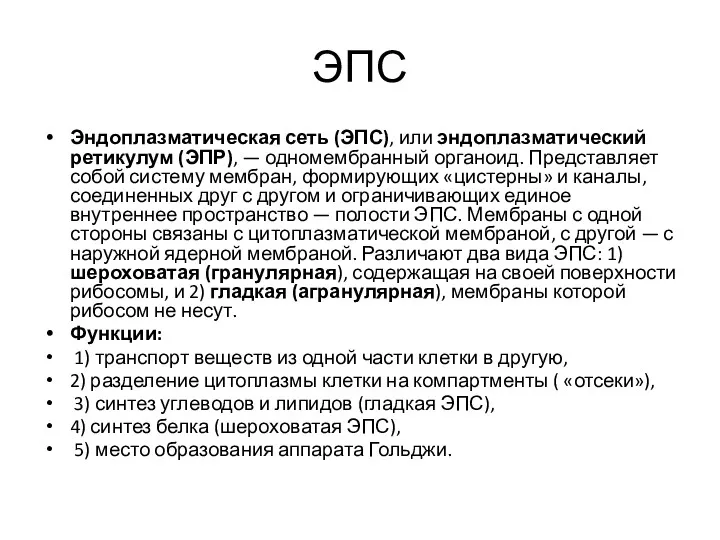 ЭПС Эндоплазматическая сеть (ЭПС), или эндоплазматический ретикулум (ЭПР), — одномембранный