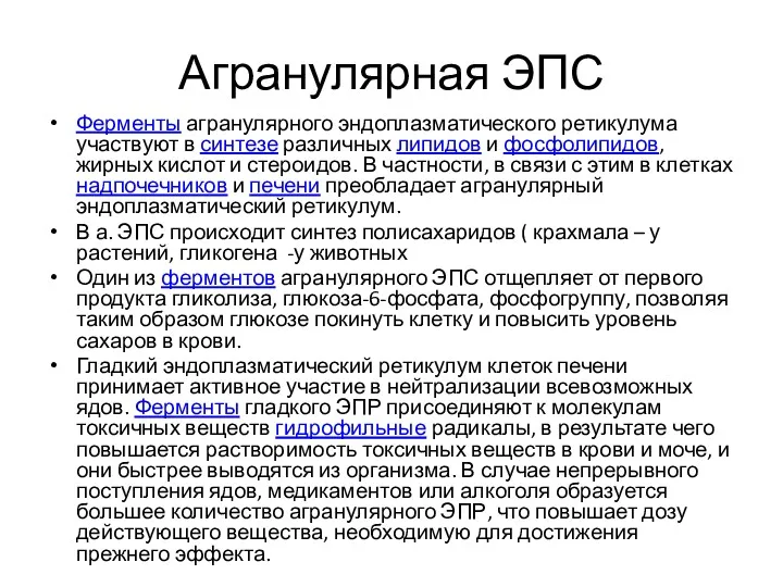 Агранулярная ЭПС Ферменты агранулярного эндоплазматического ретикулума участвуют в синтезе различных