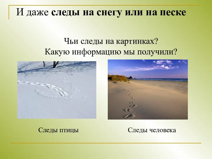 И даже следы на снегу или на песке Следы человека
