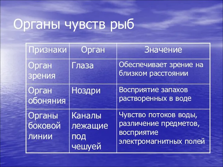 Органы чувств рыб