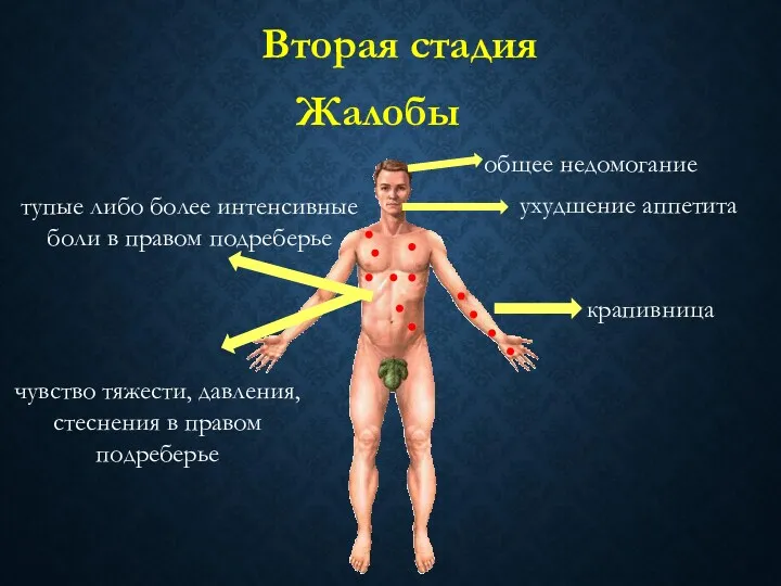 тупые либо более интенсивные боли в правом подреберье чувство тяжести,