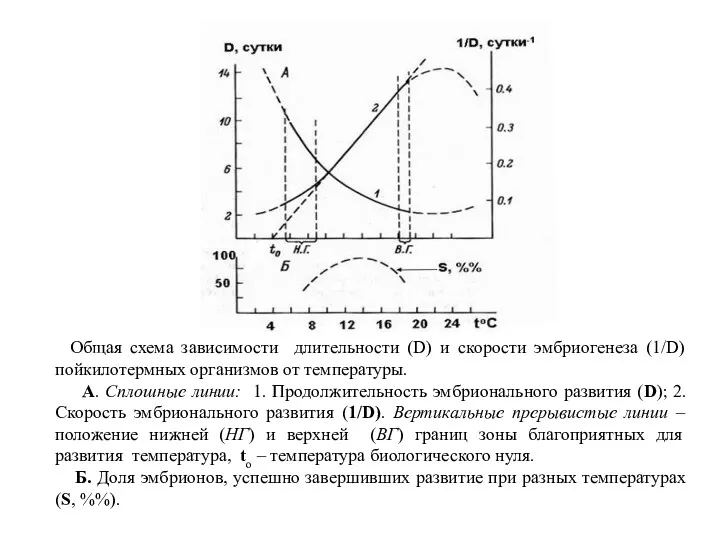 Общая схема зависимости длительности (D) и скорости эмбриогенеза (1/D) пойкилотермных организмов от температуры.