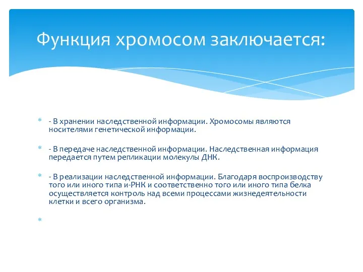 - В хранении наследственной информации. Хромосомы являются носителями генетической информации.