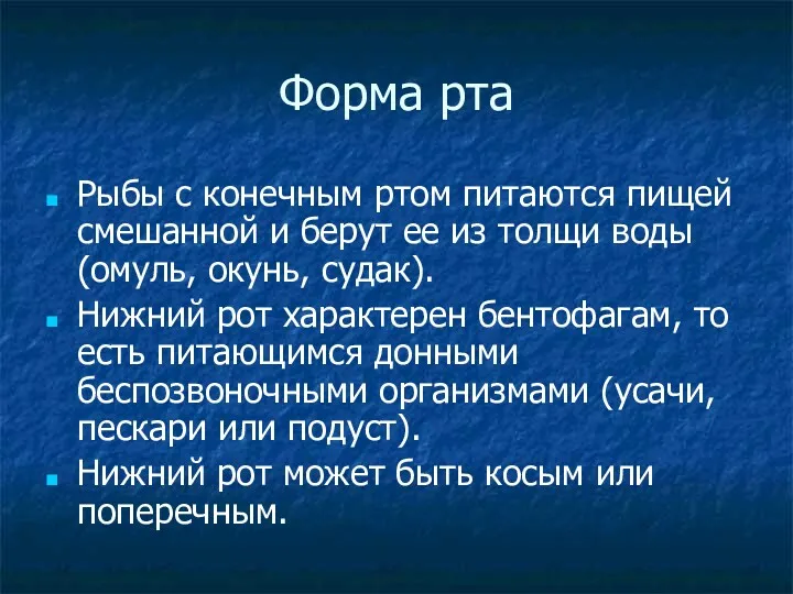 Форма рта Рыбы с конечным ртом питаются пищей смешанной и берут ее из