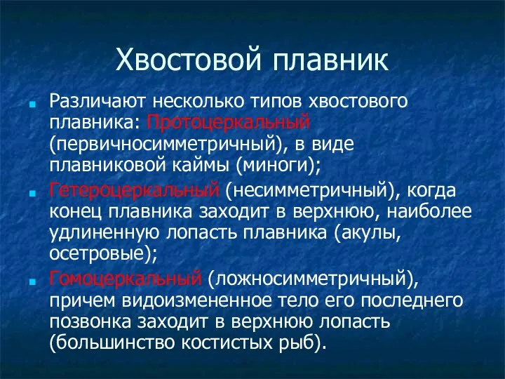 Хвостовой плавник Различают несколько типов хвостового плавника: Протоцеркальный (первичносимметричный), в