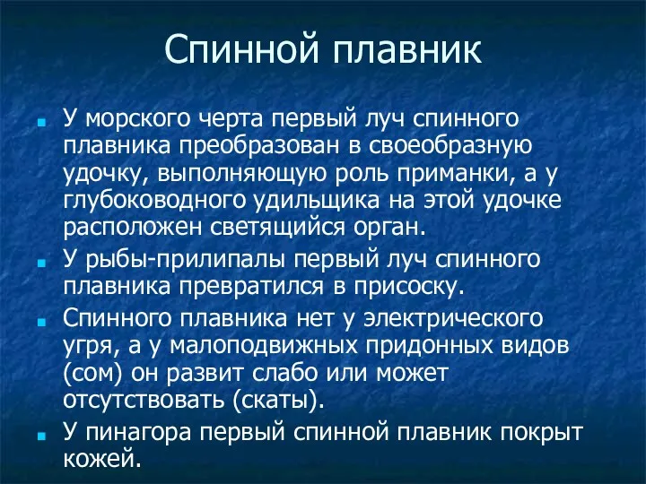 Спинной плавник У морского черта первый луч спинного плавника преобразован в своеобразную удочку,