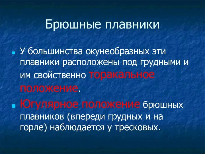 Брюшные плавники У большинства окунеобразных эти плавники расположены под грудными