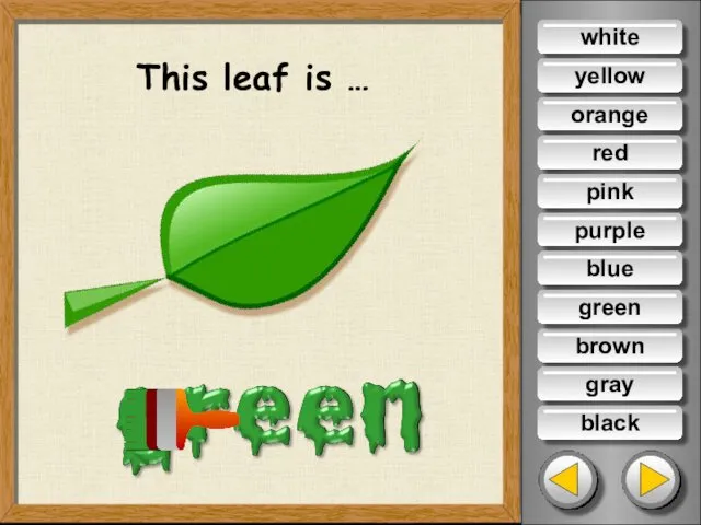 This leaf is … white yellow orange red pink purple blue brown gray black green