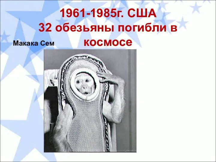 1961-1985г. США 32 обезьяны погибли в космосе Макака Сем