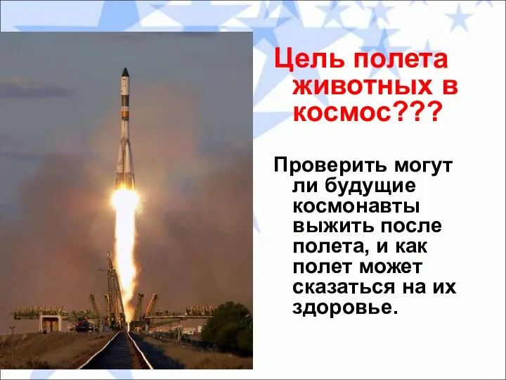 Цель полета животных в космос??? Проверить могут ли будущие космонавты