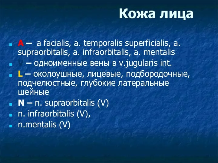 Кожа лица A – a facialis, a. temporalis superficialis, a. supraorbitalis, a. infraorbitalis,