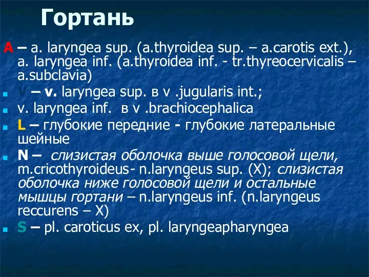 Гортань A – a. laryngea sup. (a.thyroidea sup. – a.carotis ext.), a. laryngea