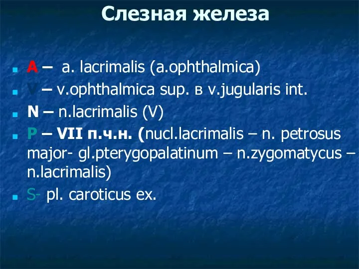Слезная железа A – a. lacrimalis (a.ophthalmica) V – v.ophthalmica sup. в v.jugularis