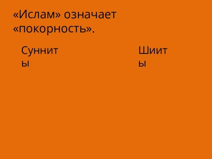 «Ислам» означает «покорность». Сунниты Шииты