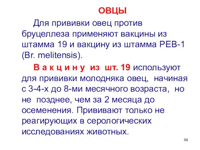 ОВЦЫ Для прививки овец против бруцеллеза применяют вакцины из штамма