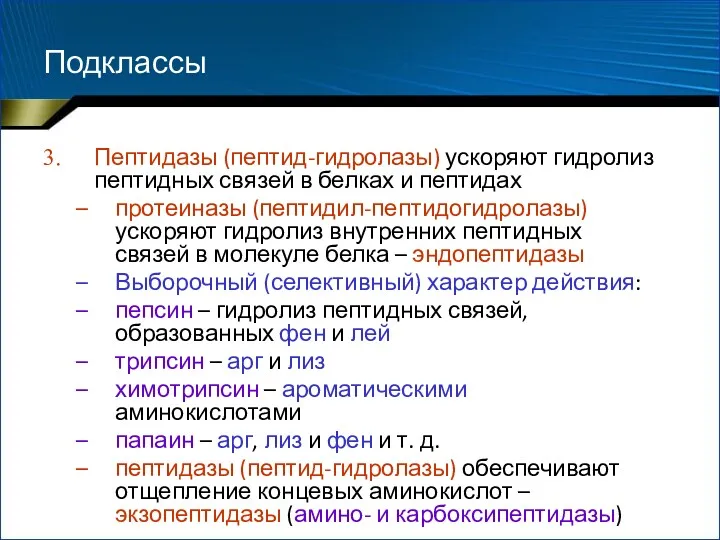 Подклассы Пептидазы (пептид-гидролазы) ускоряют гидролиз пептидных связей в белках и