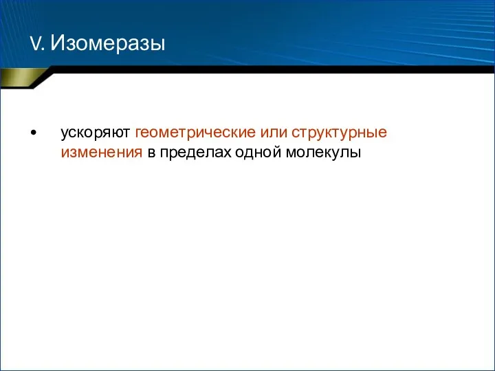 V. Изомеразы ускоряют геометрические или структурные изменения в пределах одной молекулы