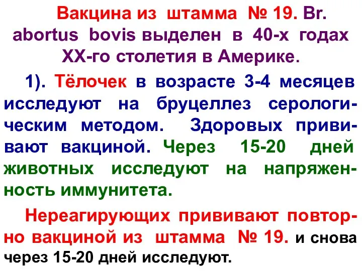 Вакцина из штамма № 19. Br. abortus bovis выделен в 40-х годах ХХ-го