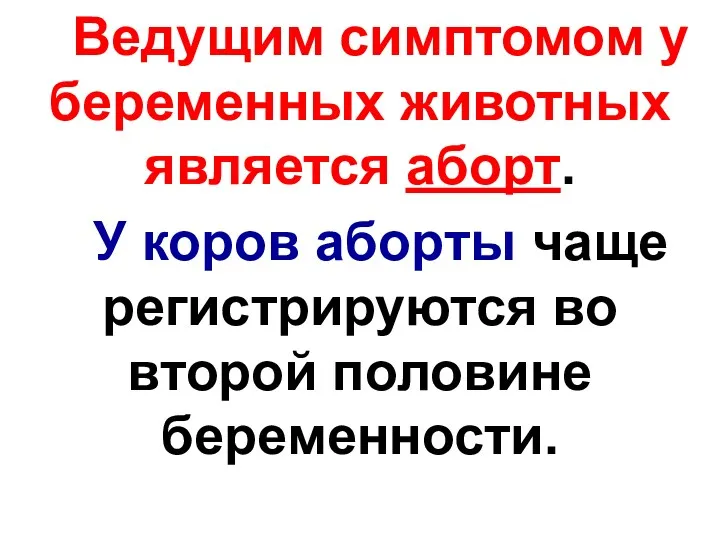 Ведущим симптомом у беременных животных является аборт. У коров аборты чаще регистрируются во второй половине беременности.