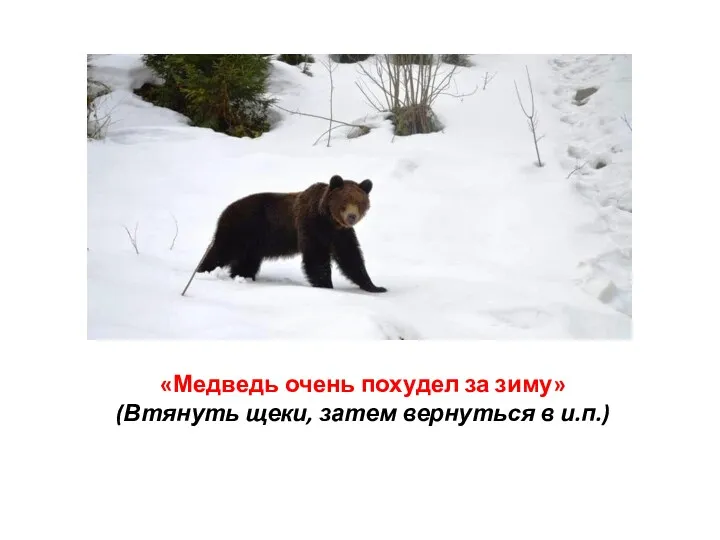 «Медведь очень похудел за зиму» (Втянуть щеки, затем вернуться в и.п.)
