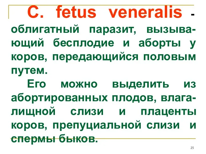 C. fetus veneralis - облигатный паразит, вызыва-ющий бесплодие и аборты