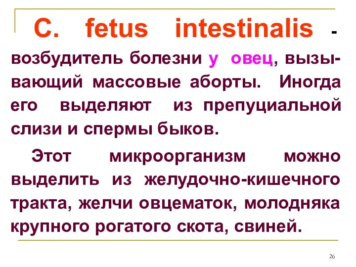C. fetus intestinalis - возбудитель болезни у овец, вызы-вающий массовые