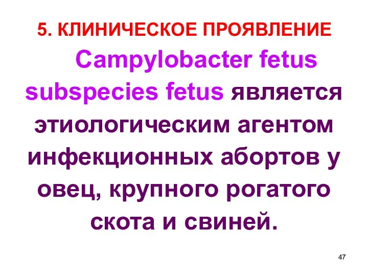 5. КЛИНИЧЕСКОЕ ПРОЯВЛЕНИЕ Campylobacter fetus subspecies fetus является этиологическим агентом